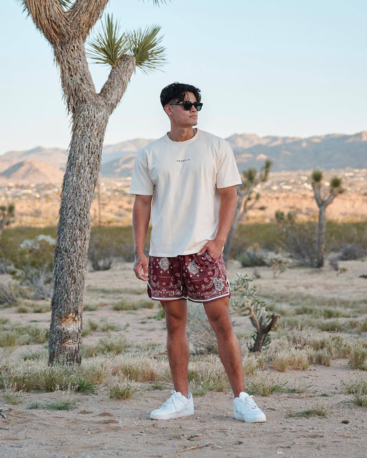 🔆𝔽𝕦𝕤𝕚𝕠𝕟 ☀ 𝔽𝕠𝕔𝕦𝕤 🔆 美式YOUNG 腰果花短褲夏季網眼透氣速乾運動休閒籃球不過膝夏季四分短褲(8色)