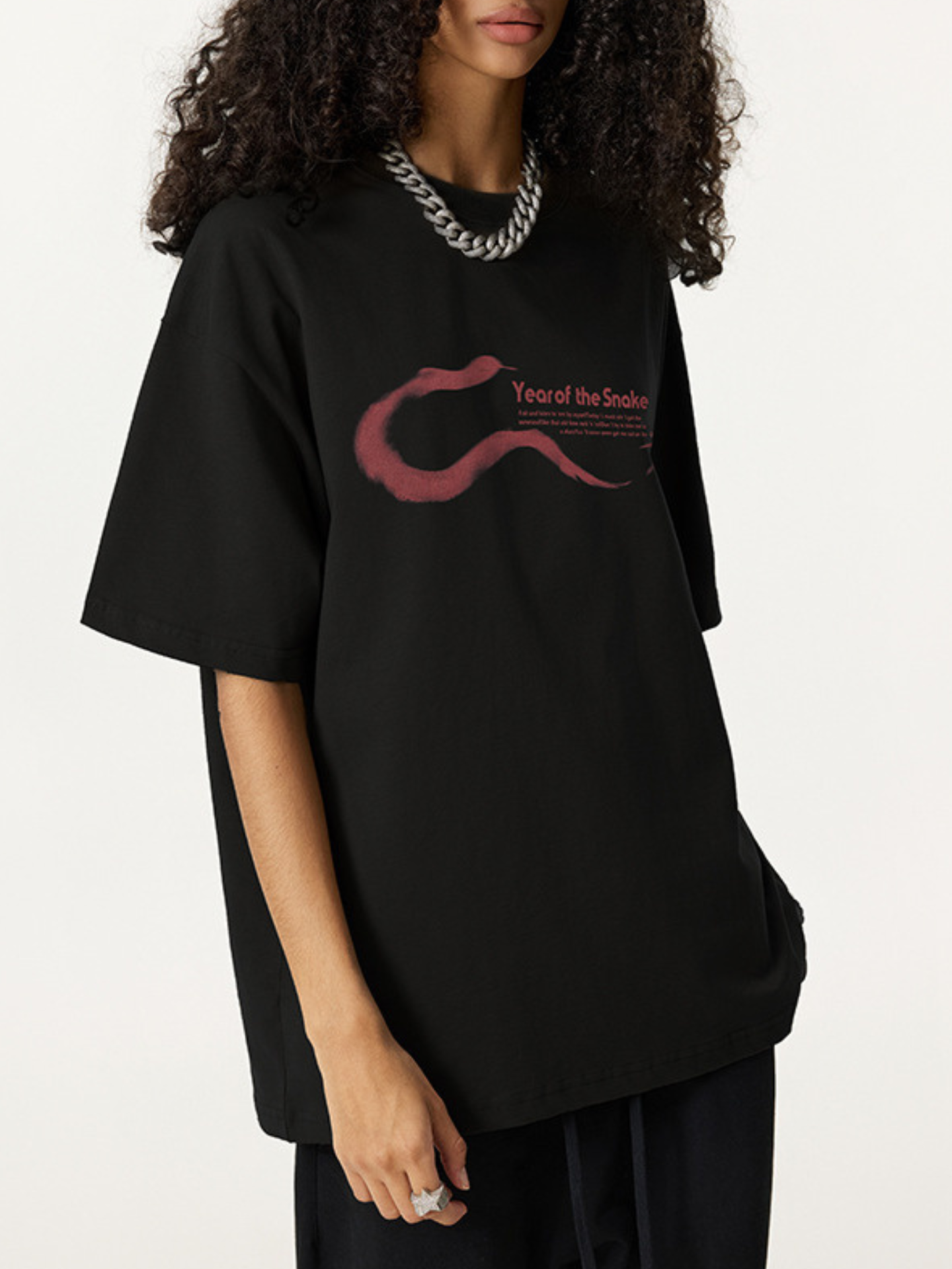 ▶𝔽𝕦𝕤𝕚𝕠𝕟 𝔽𝕠𝕔𝕦𝕤 ⌘𝓦𝓪𝓼𝓱𝓮𝓭 𝔀𝓲𝓷𝓭  ◀2025夏季歐美潮牌經典款新年系列oversize蛇年寬鬆大碼短袖T恤男 TZ-20